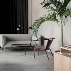 a living room filled with furniture and a potted plant