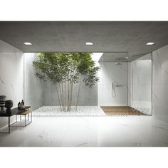 a white bathroom with a bamboo tree in the shower