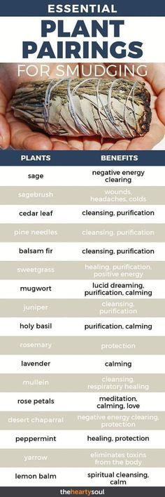 Plant Pairings, Smudge Sticks, Book Of Shadows, Natural Healing, Herbal Remedies, Energy Healing