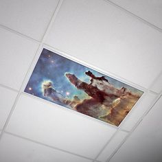 the ceiling is painted with an image of a bear and other animals in outer space