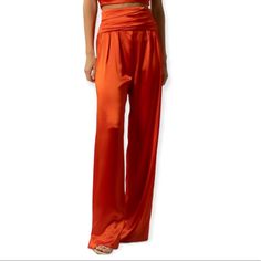 Nwt Nonchalant Pascale Orange Pants. Made In Usa. Hidden Back Zipper. Pleated Waist. Sheen Satin Fabric. Wide Leg. Summer High Waist Satin Bottoms, Summer Silk Bottoms For Party, Silk Bottoms For Summer Party, Silk Wide Leg Pants Full Length, Summer Silk Party Bottoms, Silk Bottoms For Summer Evenings, High-waisted Silk Pants For Summer, Fitted Silk Bottoms With Elastic Waistband, Silk Wide-leg Pants For Party