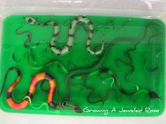 a group of snakes sitting on top of a green plastic tray with red and orange handles