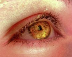 Yellow Glowing Eyes, Dragon Blaze, Character Eyes, Arthur Brown, Orange Aesthetic, Aesthetic Eyes, Gold Eyes, Liquid Gold, Fantasy Aesthetic