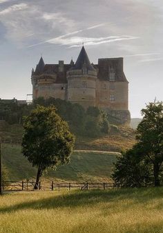 an old castle sitting on top of a hill next to a lush green field with trees