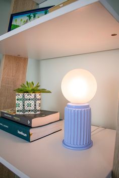 a lamp sitting on top of a book shelf next to a vase with a succulent plant