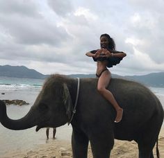 a woman is riding on the back of an elephant at the beach with two other people in the background