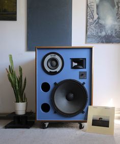 a speaker sitting on top of a blue box next to a potted plant