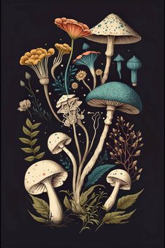 an illustration of mushrooms and plants on a black background