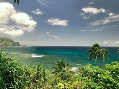 an ocean view with palm trees in the foreground and blue water on the far side