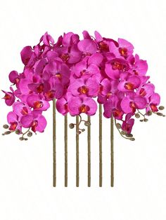 a bunch of purple flowers sitting on top of each other in front of a white background