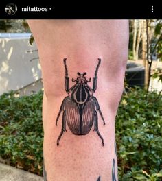 a black and white beetle tattoo on the leg