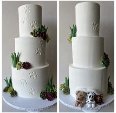 two pictures of a three tiered cake with dogs and succulents on it