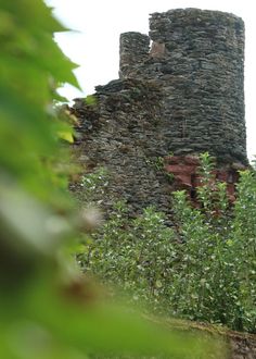 an old stone building surrounded by trees and bushes