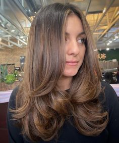 Brown Balayage Blowout, Medium Brown Hair Long Layers, Best Celebrity Hair, Mid Length Hair With Light Layers, Medium Length Hair Blowout Styles, Julia Roberts Layered Hair, Blowout Brunette Hair, Long Layered Haircuts For Medium Hair, Butterfly Cut On Medium Hair