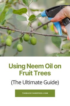 the ultimate guide to using neem oil on fruit trees