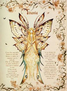 a drawing of a butterfly with words written below it