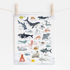 a poster hanging on a clothes line with different types of sea animals and their names