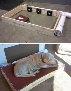 a dog laying on top of a wooden box