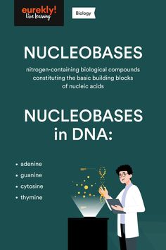 an info poster showing how to use nuclears in the classroom and on the internet