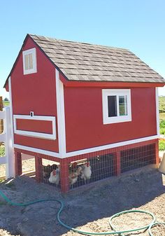 a red chicken coop with two chickens in it