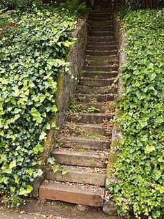 love Railroad Tie Steps, Slope Steps, Staircase Garden, Railroad Ties Landscaping, Steep Hillside Landscaping, Slope Garden, Railroad Tie, Steep Staircase, Staircase Outdoor