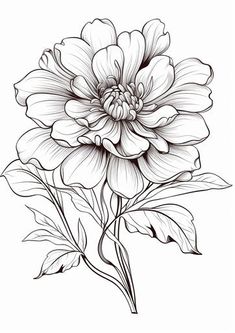 Peony Tattoo - Showcase Your Beauty and Elegance Japanese Flowers Tattoo Design, Peony Tattoo Drawing, Peonies Stencil, Peony Tattoo Sketch, Peony Drawings, Peony Line Drawing, Peony Outline, Peony Line Art, Peony Flower Tattoo