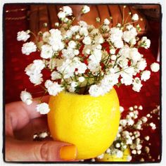 a person holding an orange with white flowers in it's mouth and on the other hand