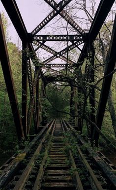 an old train track going through the woods