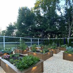 an outdoor garden with lots of plants and lights on the sides of it's walls