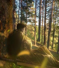 a person sitting on a bench in the woods with trees behind them and sun shining through