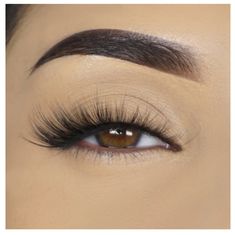 Dramatic And Voluminous Lashes For A Glam Look! Brand New And Never Used. Eye Lash Style, Lily Lashes, Evening Eye Makeup, Lilly Lashes, Hollywood Starlet, Professional Eyelash Extensions, Cat Eye Lash, False Eyelash Extensions, Glam Makeup Look