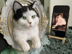 a black and white cat sitting next to a cell phone