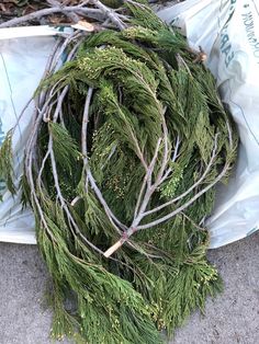 a bunch of branches laying on the ground next to a bag full of leaves and twigs