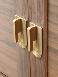 two brass handles on wooden cabinet doors