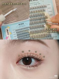 Classic Lash Extensions Asian Eyes, Korean Eye Lash, Korean Eyelash Extension, Daily Eye Makeup, Seni Resin, Sparkly Makeup, Makeup Pictorial, Korea Makeup