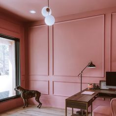 a dog standing in front of a window next to a desk with a computer on it