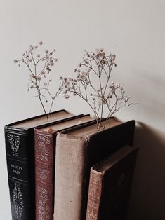 three books are lined up next to each other on a shelf with flowers growing out of them