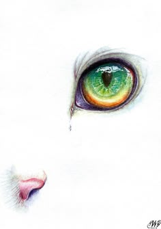 a drawing of a cat's green and orange eye