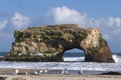 several seagulls are sitting on the beach near an arch in the rock formation