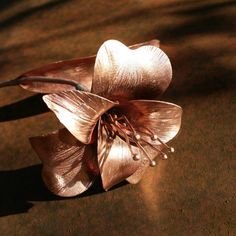 a flower that is sitting on the ground