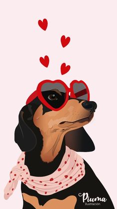 a dachshund dog wearing sunglasses and a bandana with hearts on it