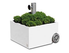 a planter that is sitting in the middle of a box with wheels on it