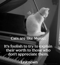 a white cat sitting on top of a piano with the caption cats are like music it's foolish to try to explain their worth to those who don't appreciate them