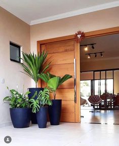 three planters sitting on the floor in front of a door