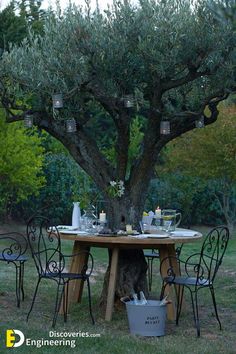 an outdoor table and chairs under a tree with candles on it, surrounded by greenery