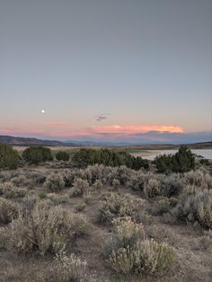 the sun is setting in the distance over an open field with scrub brush and bushes