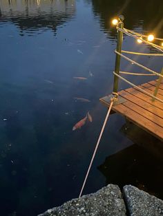 a wooden dock with lights on it next to a body of water filled with fish