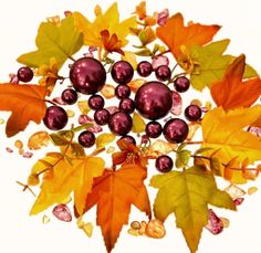 an arrangement of leaves, berries and acorns on a white background