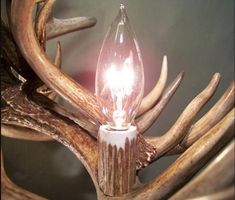 a light that is on top of some antlers