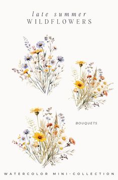 watercolor mini - collection featuring wildflowers from the book late summer wildflowers